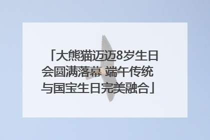 大熊猫迈迈8岁生日会圆满落幕 端午传统与国宝生日完美融合