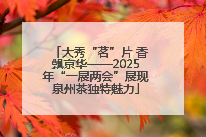 大秀“茗”片 香飘京华——2025年“一展两会”展现泉州茶独特魅力