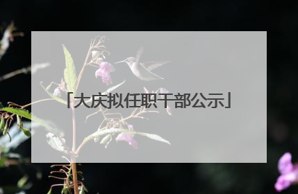 大庆拟任职干部公示