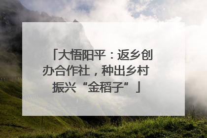 大悟阳平：返乡创办合作社，种出乡村振兴“金稻子”