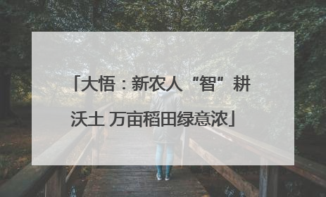 大悟：新农人“智”耕沃土 万亩稻田绿意浓