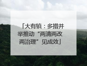 大有镇：多措并举推动“两清两改两治理”见成效