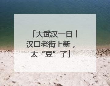 大武汉一日︱汉口老街上新，太“豆”了