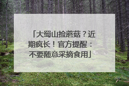 大蜀山捡蘑菇？近期疯长！官方提醒：不要随意采摘食用