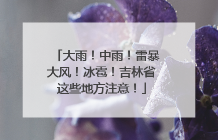 大雨！中雨！雷暴大风！冰雹！吉林省这些地方注意！