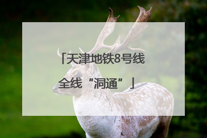 天津地铁8号线全线“洞通”
