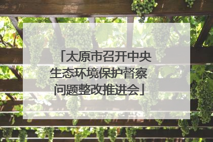 太原市召开中央生态环境保护督察问题整改推进会