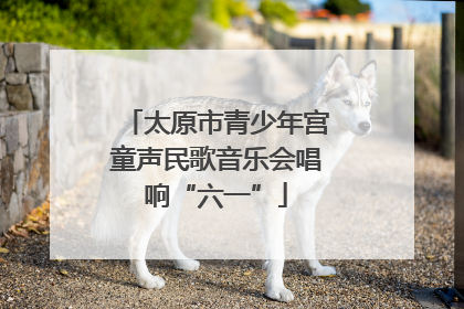 太原市青少年宫童声民歌音乐会唱响“六一”