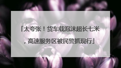 太夸张！货车载泡沫超长七米，高速服务区被民警抓现行