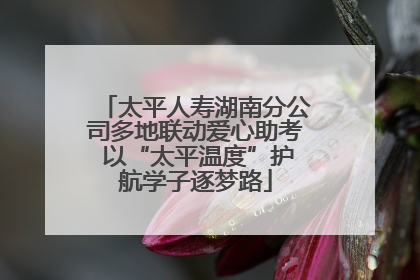 太平人寿湖南分公司多地联动爱心助考 以“太平温度”护航学子逐梦路
