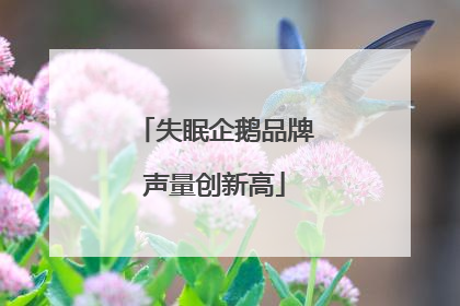 失眠企鹅品牌声量创新高