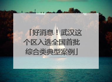 好消息！武汉这个区入选全国首批综合类典型案例