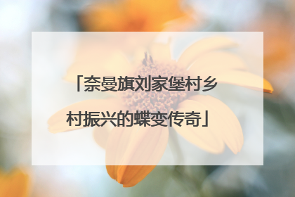 奈曼旗刘家堡村乡村振兴的蝶变传奇