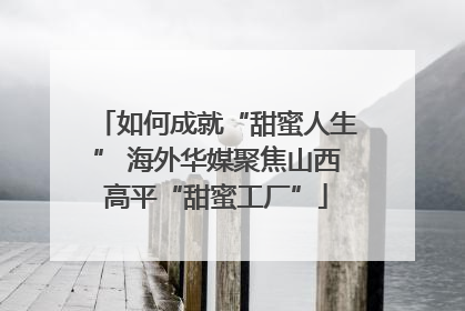 如何成就“甜蜜人生” 海外华媒聚焦山西高平“甜蜜工厂”