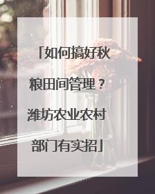 如何搞好秋粮田间管理？潍坊农业农村部门有实招
