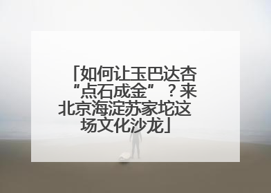 如何让玉巴达杏“点石成金”？来北京海淀苏家坨这场文化沙龙