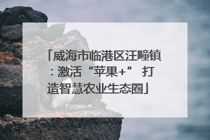 威海市临港区汪疃镇：激活“苹果+” 打造智慧农业生态圈