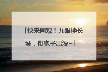 快来围观！九眼楼长城，傻狍子出没~