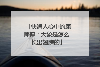 快消人心中的康师傅：大象是怎么长出翅膀的