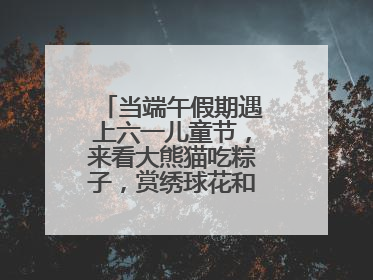 当端午假期遇上六一儿童节，来看大熊猫吃粽子，赏绣球花和马鞭草花海