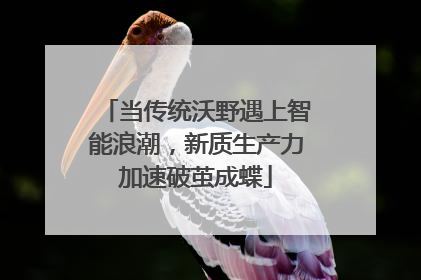 当传统沃野遇上智能浪潮，新质生产力加速破茧成蝶