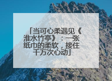 当可心柔遇见《淮水竹亭》：一张纸巾的柔软，接住千万次心动