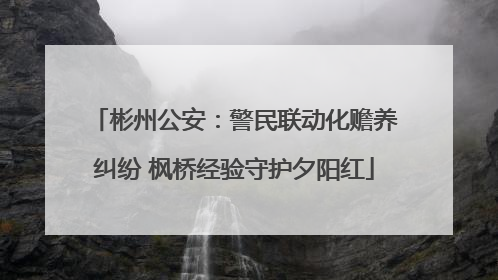 彬州公安：警民联动化赡养纠纷 枫桥经验守护夕阳红