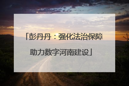 彭丹丹：强化法治保障 助力数字河南建设