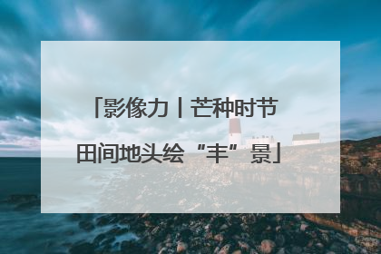 影像力丨芒种时节 田间地头绘“丰”景