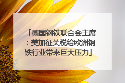 德国钢铁联合会主席：美加征关税给欧洲钢铁行业带来巨大压力
