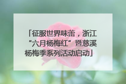 征服世界味蕾，浙江“六月杨梅红”暨慈溪杨梅季系列活动启动