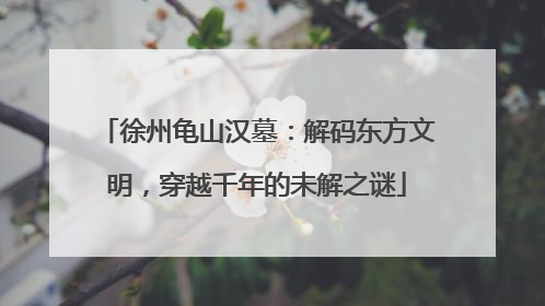 徐州龟山汉墓：解码东方文明，穿越千年的未解之谜