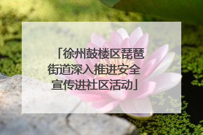 徐州鼓楼区琵琶街道深入推进安全宣传进社区活动