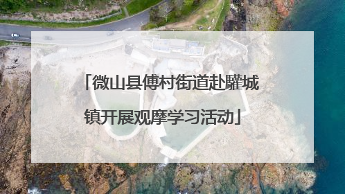 微山县傅村街道赴驩城镇开展观摩学习活动