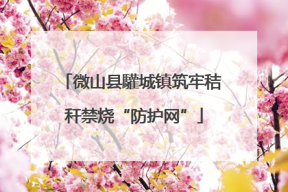 微山县驩城镇筑牢秸秆禁烧“防护网”