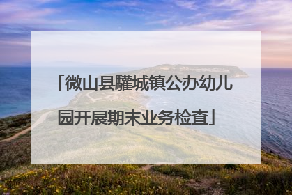 微山县驩城镇公办幼儿园开展期末业务检查