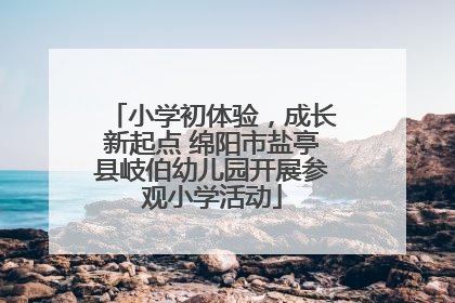 小学初体验，成长新起点 绵阳市盐亭县岐伯幼儿园开展参观小学活动