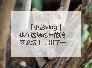 小彭vlog｜我在这场跨界的湾区论坛上，出了一道高考题……