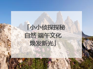 小小侦探探秘自然 端午文化焕发新光