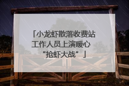 小龙虾散落收费站 工作人员上演暖心“抢虾大战”