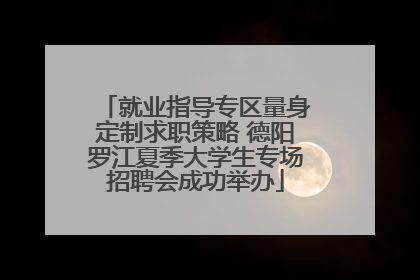 就业指导专区量身定制求职策略 德阳罗江夏季大学生专场招聘会成功举办