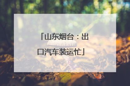 山东烟台：出口汽车装运忙