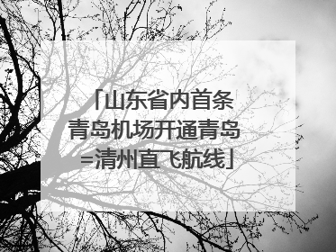 山东省内首条 青岛机场开通青岛=清州直飞航线