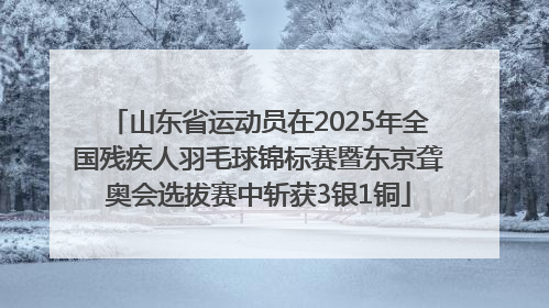 山东省运动员在2025年全国残疾人羽毛球锦标赛暨东京聋奥会选拔赛中斩获3银1铜