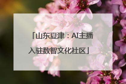 山东夏津：AI主播入驻数智文化社区