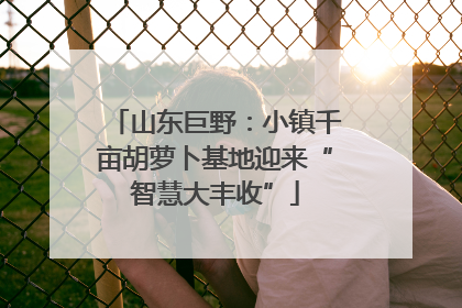 山东巨野：小镇千亩胡萝卜基地迎来“智慧大丰收”