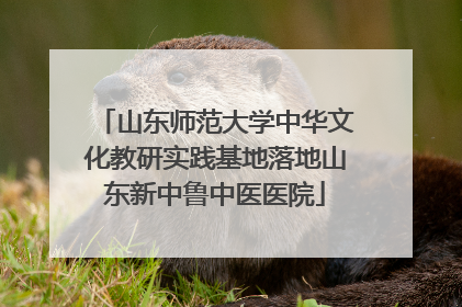 山东师范大学中华文化教研实践基地落地山东新中鲁中医医院