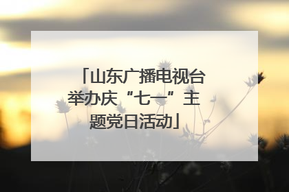 山东广播电视台举办庆“七一”主题党日活动