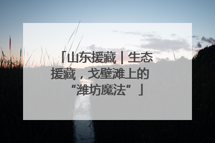 山东援藏｜生态援藏，戈壁滩上的“潍坊魔法”
