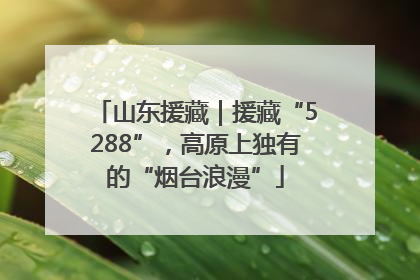 山东援藏｜援藏“5288”，高原上独有的“烟台浪漫”
